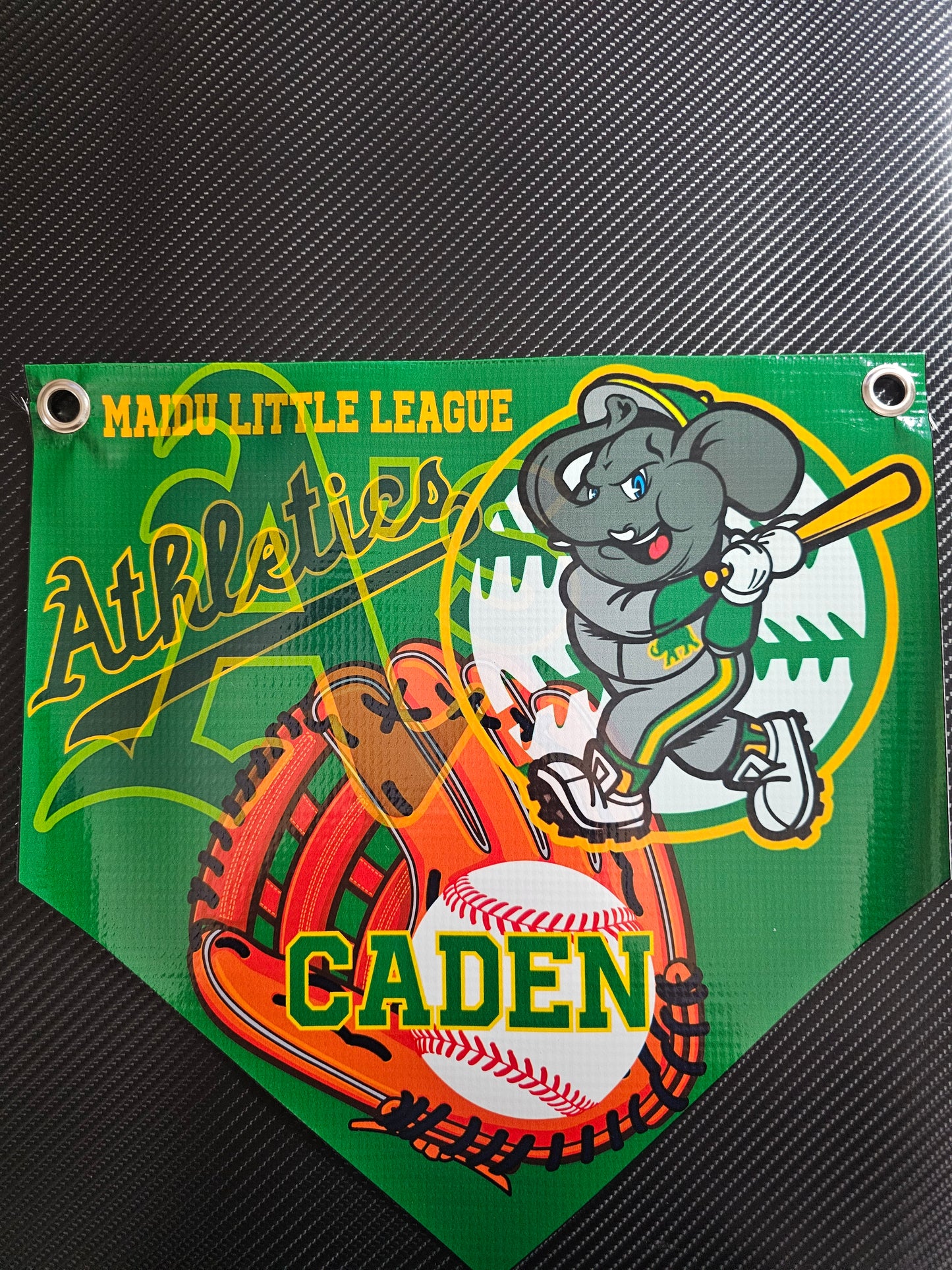 Baseball Pennent